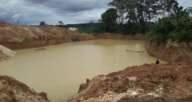 Galamsey activities have corrupted our farmlands, forests and water bodies End galamsey to save our country